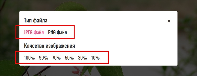 Тип и Качество изображения